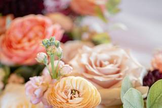 Conforti Photography - 23