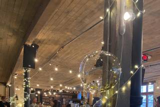 Anodyne Coffee Roasting Co. - 25