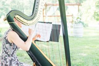 Tyler Hartley Atlanta Harpist - 20