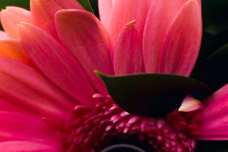 Cassandra Marie Photography - 36