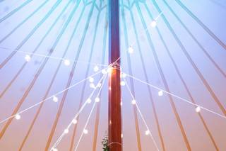 Entertainment by Scott T. Sica - 15