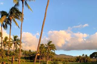 Aloha Maui Dream Weddings - 49
