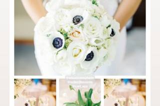 Mia Eventos - 20