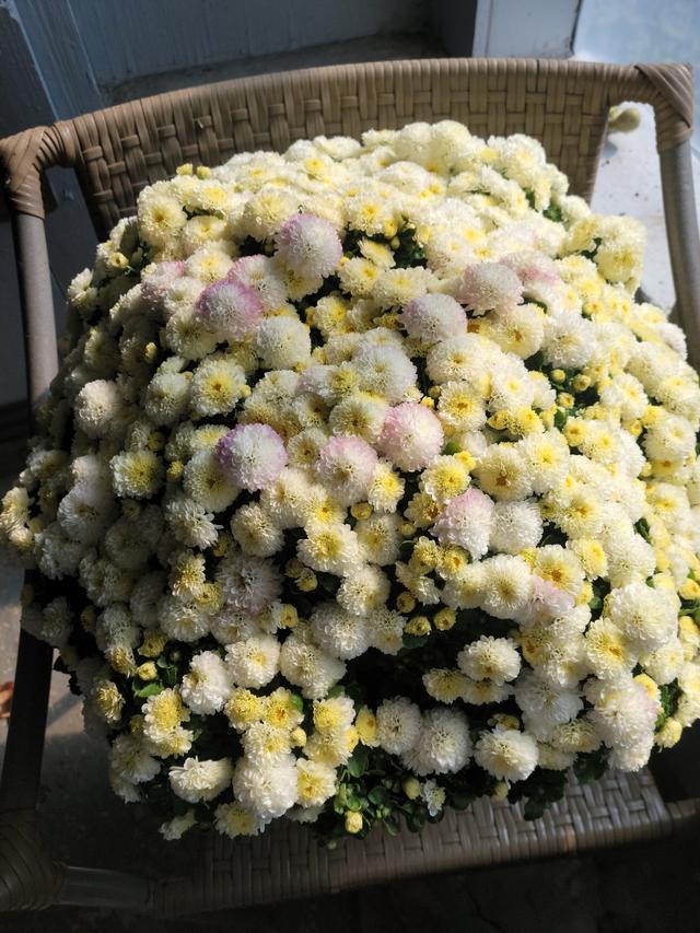 Greensmith Studios & Florist - 4
