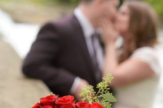 Blooming Flowers - 104