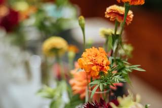 Bird Watching & Pruning Floral - 26