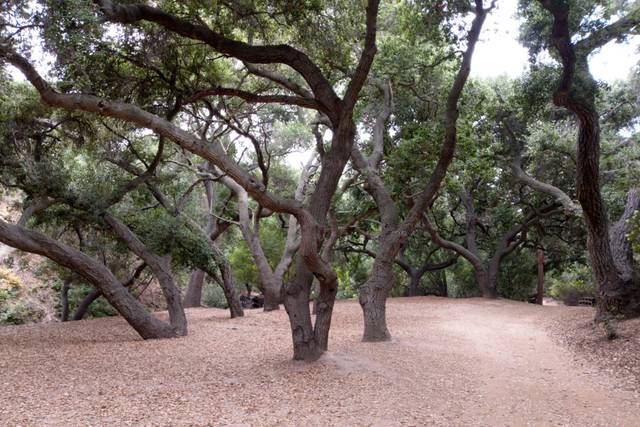 Oak Canyon Nature Center 1
