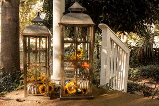 Cogan's Farm - 23