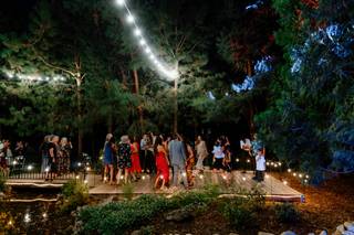 Little Bird Events - 45
