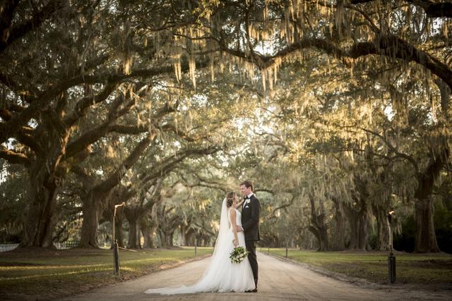 Palms and Places Imagery LLC - 3