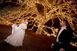 Walsh Wedding Stories - 28