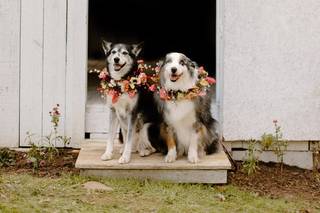 Julia Lindholm Photography - 11