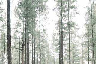 Brittany Nemec Photography - 68