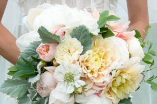 Folls' Flowers - 62