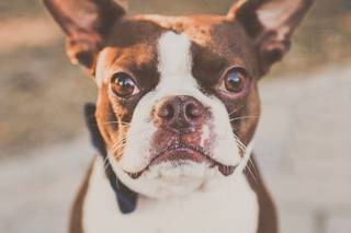Brandi Royer Photography - 22