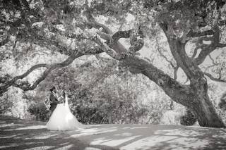 Chasing Chickadees Photography - 26