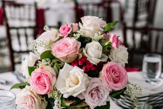 Bucks County Roses - 55