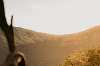 Photography By Brandon - 17