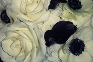 Lemon Drops Weddings & Events - 81