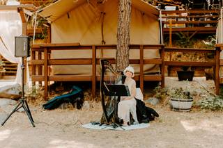Celtic Harp Music by Anne Roos - 13