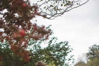 Moondance Photography - 7