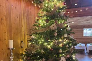 Dancing Fish Vineyards - 3