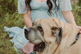 Callista Nichole Photography - 7