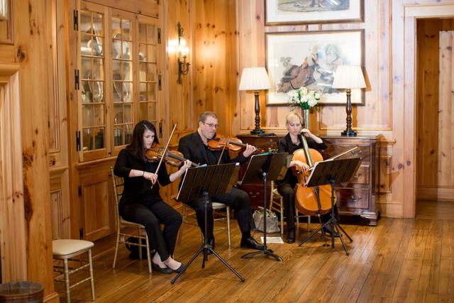 Carolina Royal Strings - 1
