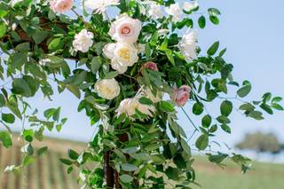 Alexis Ireland Florals - 28