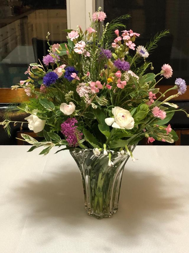 Kreeger Farms Flowers - 2