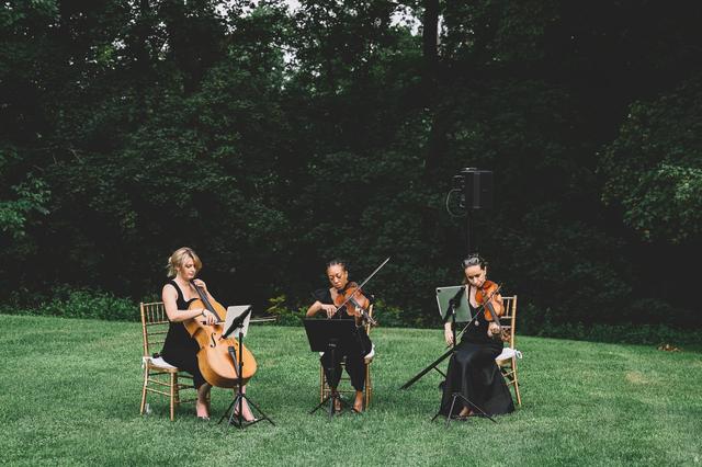 Stellar Strings - 1