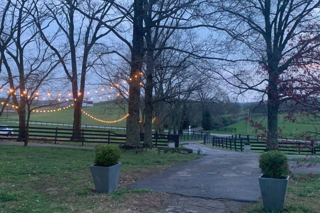 Beau Cheval in Wartrace 3
