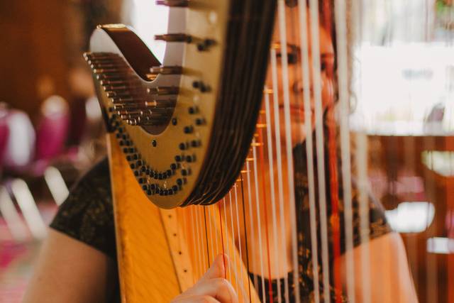 Beverly Arnold, Harpist 5