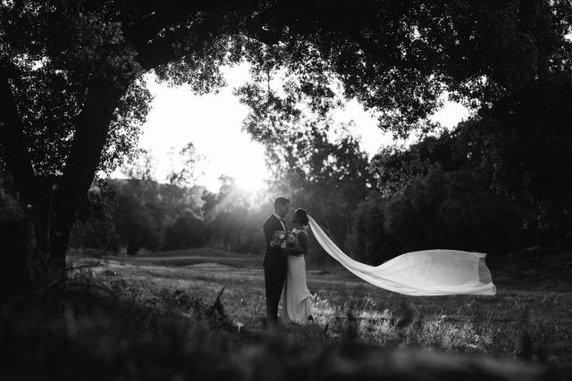 Michelle Flores Photography - 4
