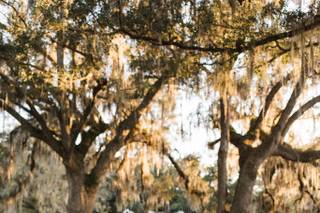 Clark Plantation Venue - 24