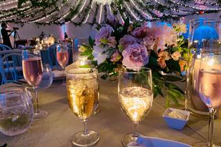 Trivien Events - 28