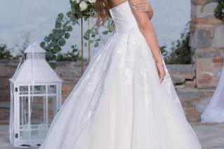 Alexandrakis Photography - 27