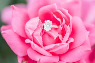 Rebecca Sigety Photography - 57