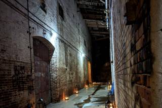 Catherine Scerbo Events,LLC - 14