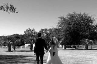 Laurel Hill Farm - 15