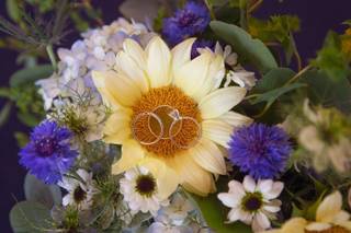 Candice Budgick Photography - 10