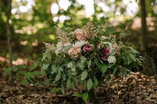Stargazers Designs - 58