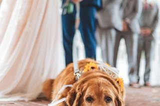 Sokolov Photography - 19