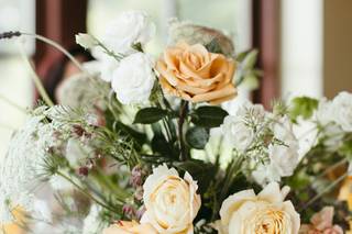 VineLily Moments - 5