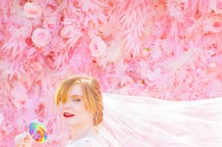 Tara Williams Photography - 11