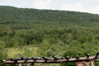 Reverend Sandra Bargman - 11