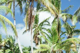 Beach Brides Lab - 57