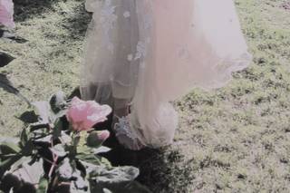 The Gardens - 31