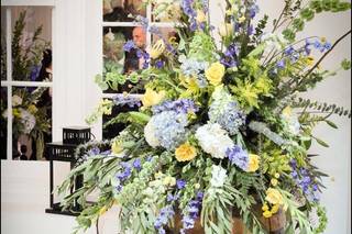 James David Ray LLC - 17