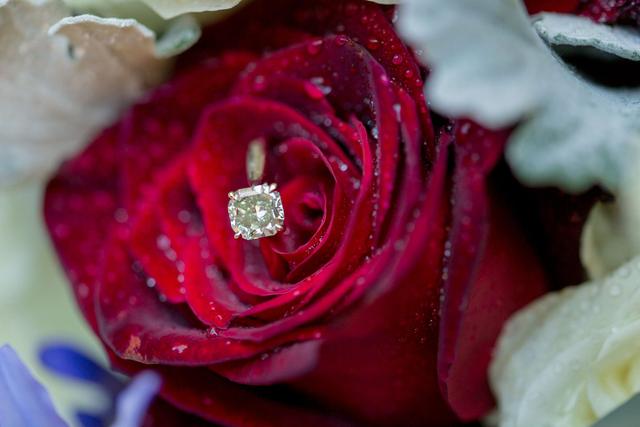 Mobtown Florals - 3